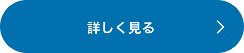 詳しく見る
