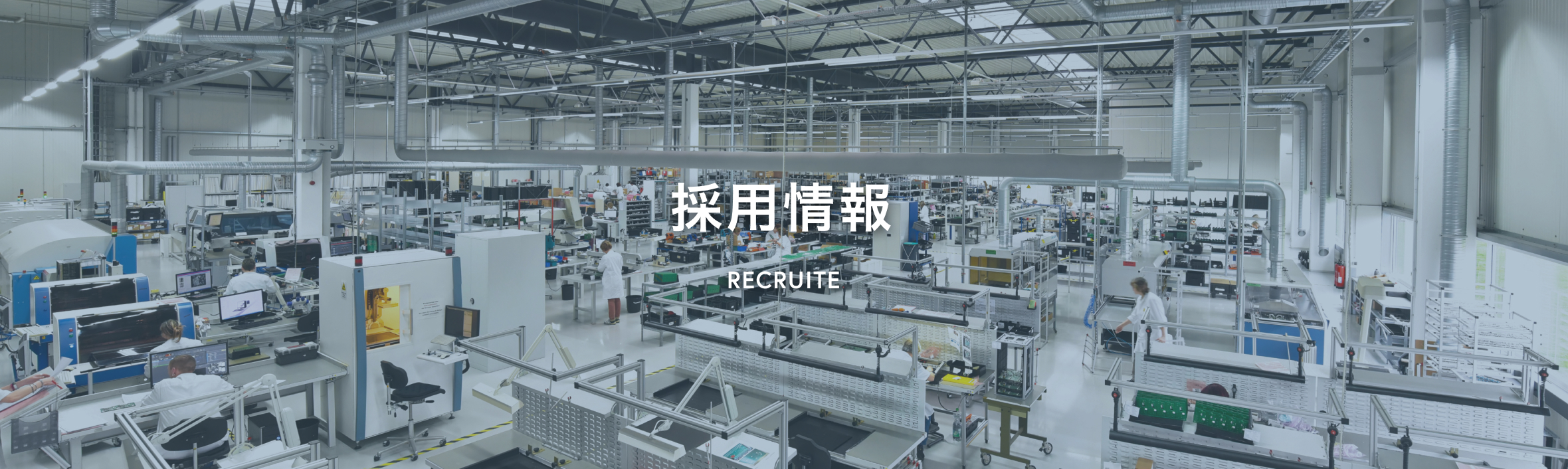 採用情報